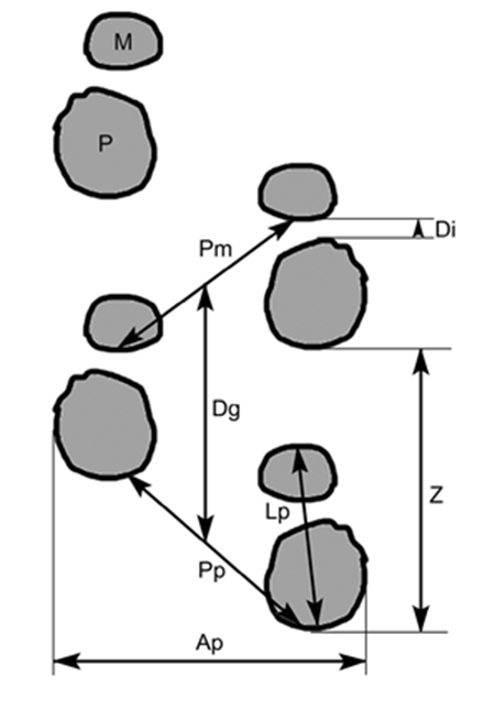 medium/medium-BGM-135-01-7-gf4.png