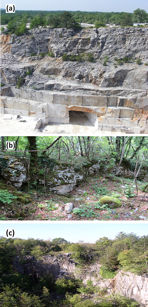 Tres escenas naturales muestran una cantera con una entrada rectangular, un área boscosa con rocas cubiertas de musgo y un acantilado rocoso rodeado de árboles bajo un cielo despejado.

Descripción generada con IA