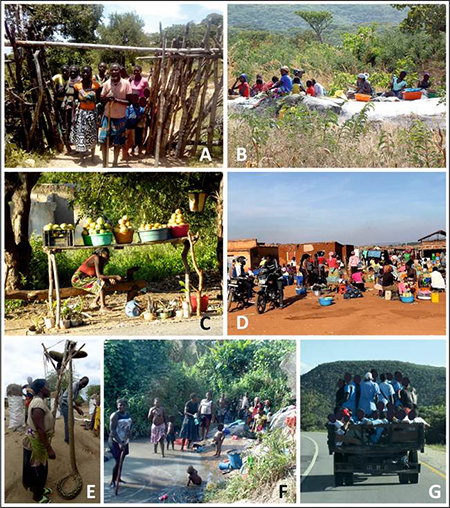 Imágenes del estado rural y de subsistencia general de Angola: A) Población reunida por la curiosidad de vernos trabajar por sus tierras durante las labores de cartografía en los alrededores de Lubango. B) Grupo de mujeres moliendo grano en un gran afloramiento granítico en la región de Cubal. C) Puesto ambulante de venta de mangos al pie de la Sierra de Chela. D) Mercado local en la región de Kuito. E) Mujer vendiendo carne de serpiente (jiboia, especie de boa constrictor) a pie de carretera en el mercado de Canjala, al norte de Lobito. F) Mujeres y niños bañándose y lavando la ropa en un pequeño arroyo en la región de Bocoio. G) Carrinha llena de jóvenes en su ruta a la escuela (se contaban al menos 28 personas). Todas las caras de niños y niñas han sido cubiertas por motivos de protección de imagen del menor.