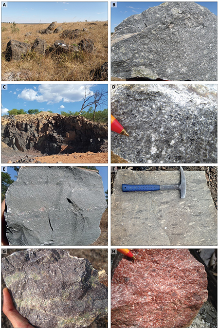 Representative field photographs of the Volcanic Suite of the Menongue Igneous Complex (MIC). A) Outcrop view showing the sampling location of the dated porphyritic dacite (D33R001I). B) Closer view of the porphyritic dacite with feldspar and quartz phenocrysts embedded in a dark-grey aphanitic matrix. Note the presence of epidotized feldspar-rich domains. C) Quarry where the dated porphyritic rhyolite (E33D009I) was collected. D) Porphyry with feldspar, biotite, amphibole and minor quartz phenocrysts embedded in a dark-grey microcrystalline matrix. E) Felsic lava displaying a banded texture of volcaniclastic material composed of small quartz and feldspar fragments. F) Pyroclastic deposit containing elongated dark-grey volcanic lithoclasts and white to cream-colored pumice fragments, embedded in a lighter grey stratified tuffaceous matrix. G) Porphyritic dacite with fracture-controlled propylitic alteration. H) Felsic porphyry exhibiting pervasive hematitization.