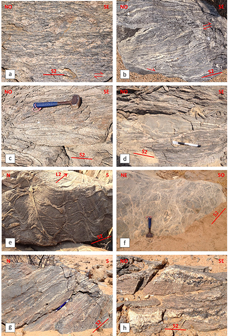 (a) Augen-gneises graníticos del Complejo de Epupa. Nótese el carácter porfiroclástico de los megacristales feldespáticos, en una matriz blastomilonítica (S2). Sector de Curoca. Anchura del campo = 60 cm. (b) Ortogneises bandeados biotíticos, con leucosomas (S2) cizallados y deformados por planos C’. Carretera de Curoca a Iona. Anchura del campo = 60 cm. (c) Ortogneises bandeados biotíticos con intrusiones concordantes (S2) de leucogranitos anatécticos. Carretera de Curoca a Iona. (d) Paragneises semi-pelíticos de estructura estromática (S2) deformados por pliegues D3. Sector de Curoca. (e) Ortogneises tonalíticos con varias generaciones de leucosomas sin- y post-S2. Antiforma de Tchicolangita. Anchura del campo = 60 cm. (f) Tránsito de una estructura estromática (S2, derecha) a diatexítica (izquierda) en paragneises semi-pelíticos, conforme aumenta el volumen de fundido granítico. Sector SO del vértice de Kanahuia, Virey. (g) Paragneises estromáticos con desarrollo de leucosomas paralelos a la foliación S2, que resultan boudinados heterogéneamente y plegados isoclinalmente. Antiforma de Capolopopo. (h) Paragneises estromáticos con desarrollo de pares leucosoma-melanosoma elongados paralelamente a la foliación S2. Sector de Mongobatú, Capolopopo. Anchura del campo = 60 cm. En las fotografías las flechas indican el sentido de cizalla paralelo a la foliación S2.