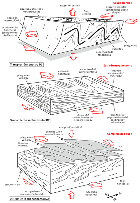 (a) Diagrama mostrando la interpretación de la deformación D1 producida por una transpresión senestra, que produjo un acortamiento horizontal y un estiramiento subvertical. La macroestructura D1 resultante consiste en un plegamiento subvertical a gran escala y vergente al NE de los metasedimentos del Grupo Namibe. (b y c) Diagrama mostrando la interpretación de la deformación D2 en base a las estructuras desarrolladas en la zona de détachment (attachment zone) y en el Complejo de Epupa infrayacente. D2 consistió en un cizallamiento horizontal (o de bajo ángulo) que produjo un acortamiento vertical y una extensión horizontal. El reparto vertical de la deformación estuvo contralado probablemente por el fuerte contraste reológico entre los ortogneises parcialmente fundidos infrayacentes y los metasedimentos de menor grado metamórfico suprayacentes.