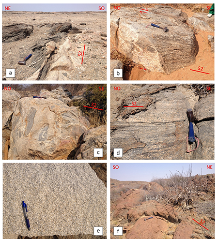 Granitos de la serie G1. (a) Láminas de leucogranitos con biotita y moscovita emplazados en ortogneises del Complejo Epupa. Notar el paralelismo entre el contacto intrusivo y la S2 de las rocas encajantes. Antiforme de Curoca. (b) Granitoides inhomogéneos con abundantes restos de metasedimentos emplazados en gneises migmatíticos. La foliación es una S2 con un ángulo de buzamiento bajo. La deformación sub-sólidus establece un cizallamiento de techo hacia el SE. Macizo de Caraué. (c) Intrusión de granito con biotita en paragneises alumínicos migmatizados del Complejo Epupa. Se observan enclaves de metasedimentos con pliegues de la S2. Macizo de Caraué. (d) Leucogranito foliado (S2) con biotita, granate y/o cordierita, emplazado en los ortogneises Complejo Epupa. Antiforme de Curoca. (e) Leucogranito con moscovita y biotita, homogéneo y masivo, con textura de subidiomorfa a alotriomorfa. Macizo de Linda Linda. (f) Cuerpo laminar de granito foliado con biotita emplazado en el Grupo Namibe. La foliación magmática es subparalela a la S2 en los metasedimentos encajantes.