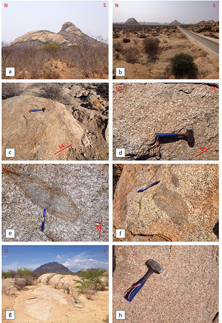 Granitos de la serie G3. (a) Morfología cupuliforme de los granitos con biotita ricos en cuarzo. Macizo de Linda Linda. (b) Morfologías en forma de “pan de azúcar” de los granitos con biotita del Macizo de Caraculo, que resaltan sobre la llanura formada por las granodioritas de la serie G2 del Macizo de Pedra Grande. (c) Granito con biotita que muestra una orientación preferente de los megacristales feldespáticos, los cuales definen una fábrica magmática S4, y es intruido por un dique pegmatítico. Macizo de Monte Tubirute. (d) Granodiorita con biotita porfídica. Notar bandas con megacristales orientados por flujo magmático que definen la fábrica magmática S4. Macizo Monte Tubirute. (e) Enclave microgranular oscuro, rico en biotita, con bordes difusos en granodiorita con biotita porfídica. Macizo Monte Tubirute. (f) Granito porfídico heterogéneo con schlieren biotíticos, alineamiento de fenocristales feldespáticos y enclaves dioríticos con fenocristales dispersos. Macizo Chintundulu. (g) Granitos con biotita de textura isótropa. Macizo de Caraculo. (h) Granito leucocrático con pequeñas láminas de biotita y fenocristales feldespáticos dispersos. Macizo de Caraculo.