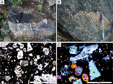 A) Dolerite dike intrusive into syenitic facies of the Tchivira Complex in NNE-SSW direction. B) NNE-SSW trending pyroxene- and olivine-bearing basalt dike, showing vacuoles filled by metallic sulphides, zeolites, carbonates and other secondary minerals. C) Microphotograph of the basalt dike showing phenocrysts of plagioclase (Pl), clinopyroxene (Cpx), olivine (Ol) and amphibole (Amp) within a micro- to cryptocrystalline matrix. D) Detail of the polysynthetic twinning of the plagioclase phenocrysts (Pl) in cross-polarised light, the zoning of the pyroxene (Cpx) and amphibole (Amp) crystals and the halo of opaque minerals (OFe) surrounding the phenocrysts.