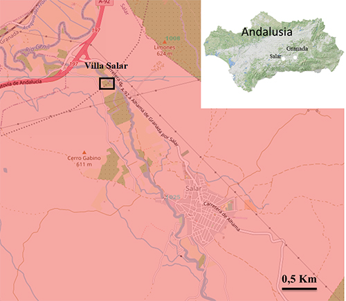 Mapa detallado que muestra la ubicación de Villa Salar en la región de Andalucía con un recuadro resaltando su posición y un mapa más pequeño que indica la ubicación general dentro de Andalucía.

Descripción generada con IA