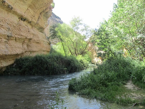 Un río fluye entre formaciones rocosas y vegetación densa bajo un cielo despejado.

Descripción generada con IA