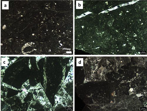 Cuatro micrografías en diferentes tonos oscuros que muestran texturas y estructuras minerales con escala de 250 micrómetros.

Descripción generada con IA
