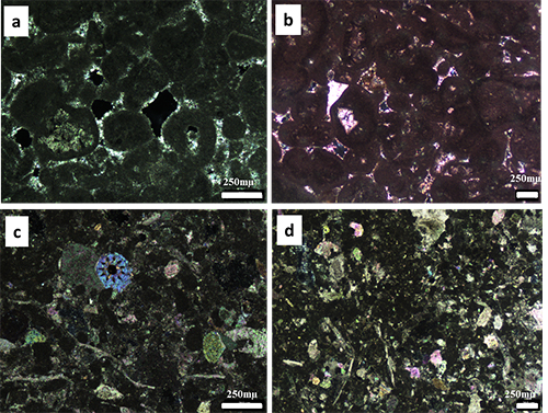 Micrografías de diferentes muestras minerales con texturas y colores variados observadas bajo microscopio con escala de 250 micrómetros.

Descripción generada con IA