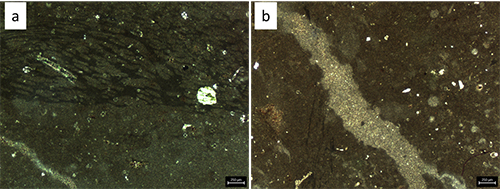 Dos micrografías que muestran texturas y estructuras minerales en una superficie oscura con detalles claros y líneas visibles, cada una con una escala de 200 micrómetros.

Descripción generada con IA