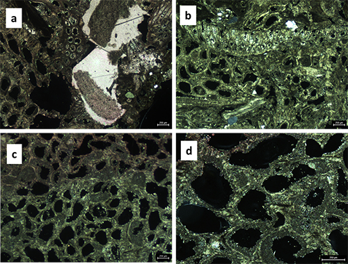 Micrografías que muestran diferentes estructuras porosas y texturas minerales en muestras de roca bajo luz polarizada con escala de 200 micrómetros.

Descripción generada con IA