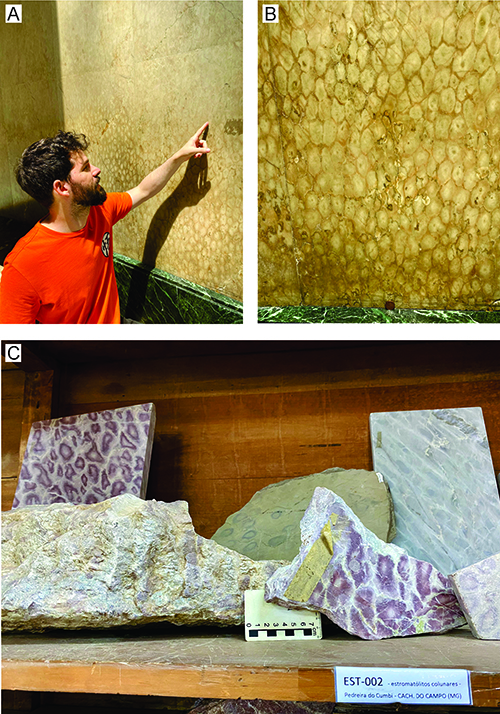 Una persona con camiseta naranja señala una pared con un patrón de textura similar a escamas y en la parte inferior hay varias muestras de piedra con patrones similares sobre una superficie de madera.

Descripción generada con IA