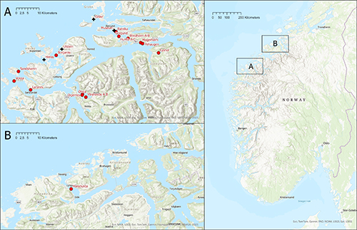Mapa detallado que muestra ubicaciones marcadas con puntos rojos en una región costera montañosa con islas y fiordos, dividido en tres secciones etiquetadas A, B y C.

Descripción generada con IA
