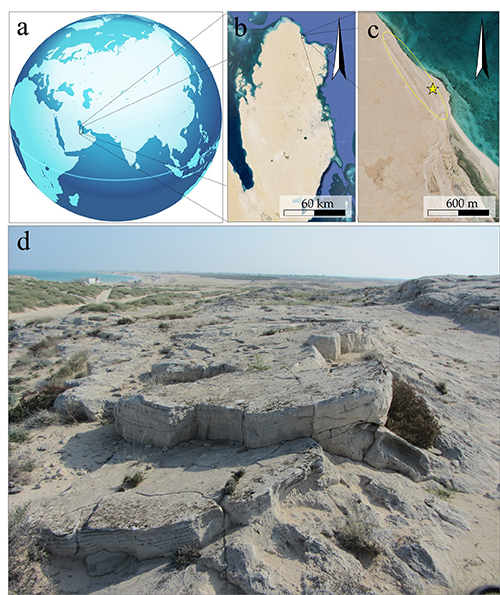 Mapa que muestra la ubicación geográfica de un sitio arqueológico costero con una fotografía del terreno rocoso y arenoso donde se encuentran estructuras antiguas.

Descripción generada con IA