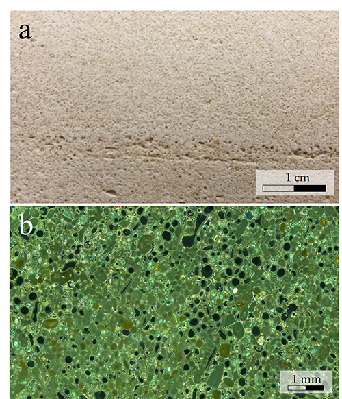 Superficie de arena con una línea de pequeñas marcas y una imagen microscópica de una estructura porosa verde con puntos oscuros.

Descripción generada con IA